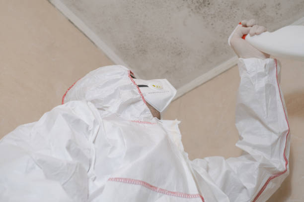 Best Mold Remediation  in Cranford, NJ