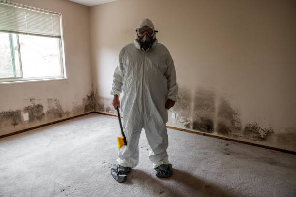 Best Commercial Mold Removal  in Cranford, NJ